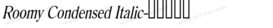 Roomy Condensed Italic字体转换
